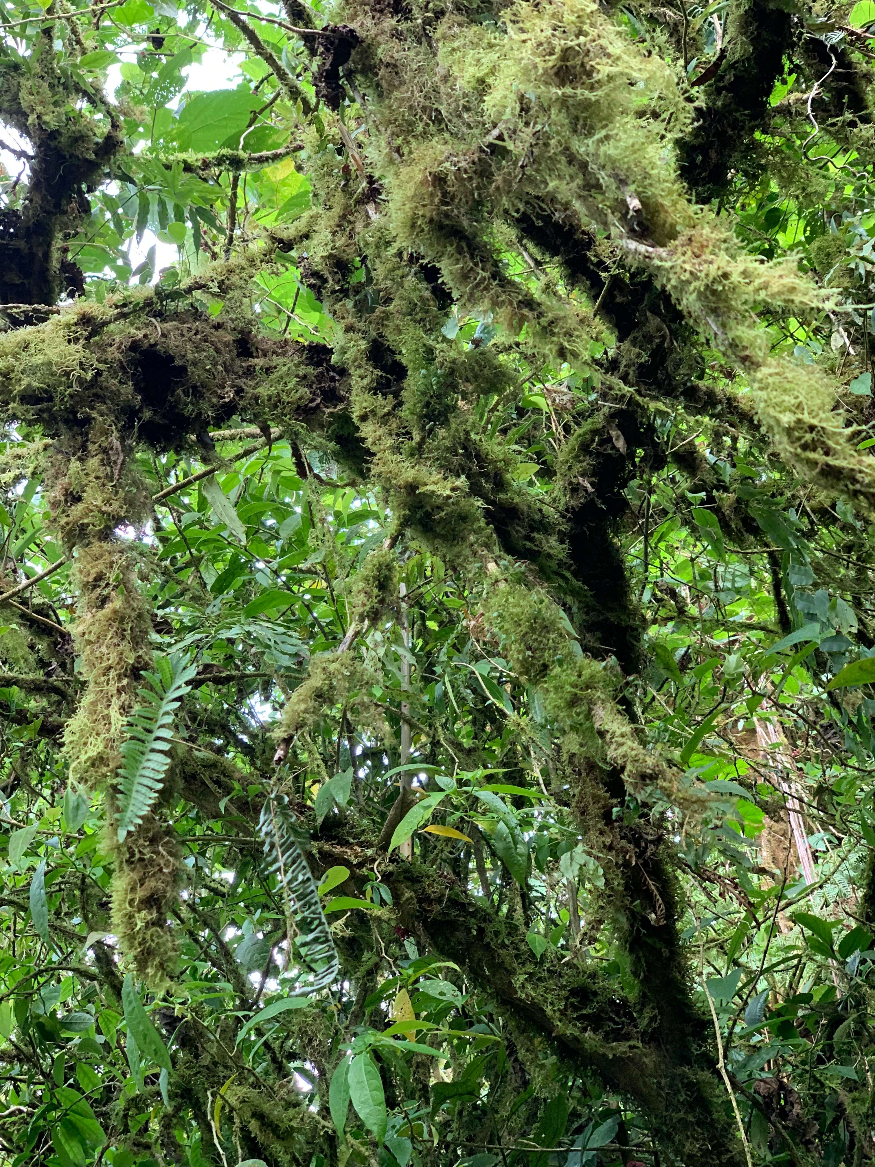 Costa Rica